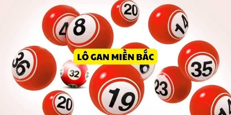 Giải đáp khái niệm về lô gan miền Bắc